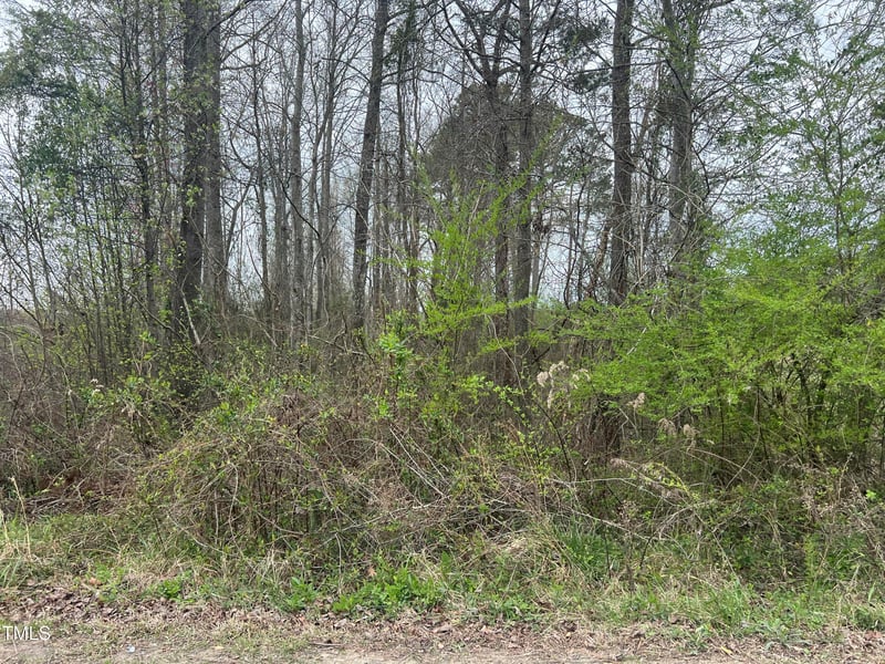 0 Trouble Rd, Willow Springs, NC 27592