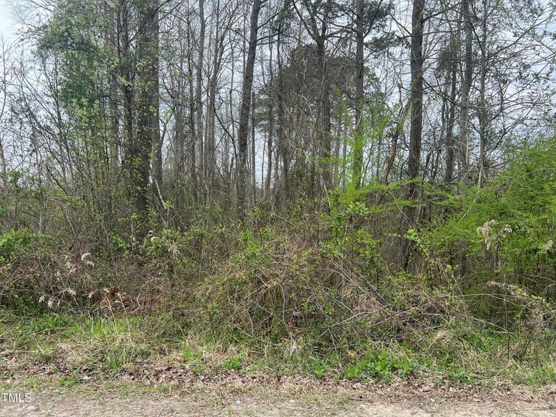 0 Trouble Rd, Willow Springs, NC 27592