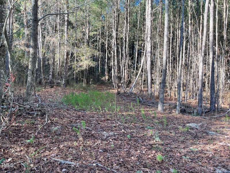 Turlington Rd, Dunn, NC 28334