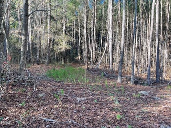 Turlington Rd Lot tract F, Dunn, NC 28334