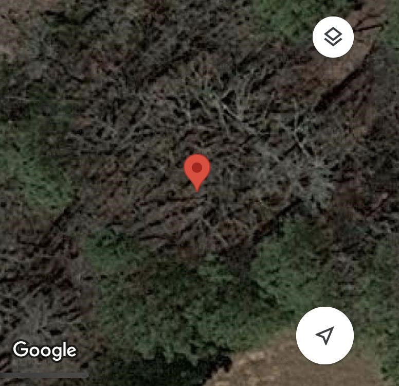 0 University Station Rd, Chapel Hill, NC 27514