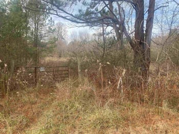0 Us 15 501 Hw Lot 2, Pittsboro, NC 27312