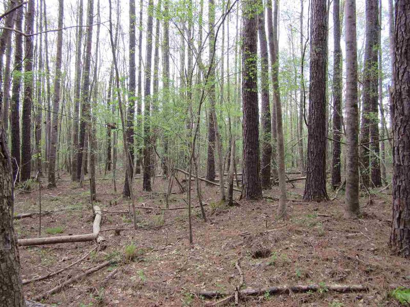 0 Us 264a Hw, Zebulon, NC 27597