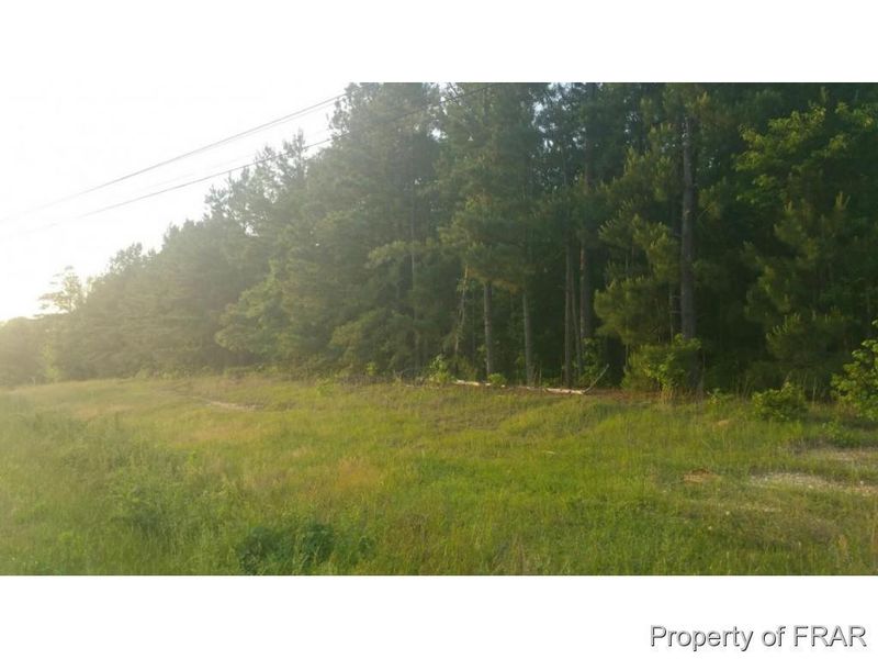 0 Us 421 S, Erwin, NC 28339
