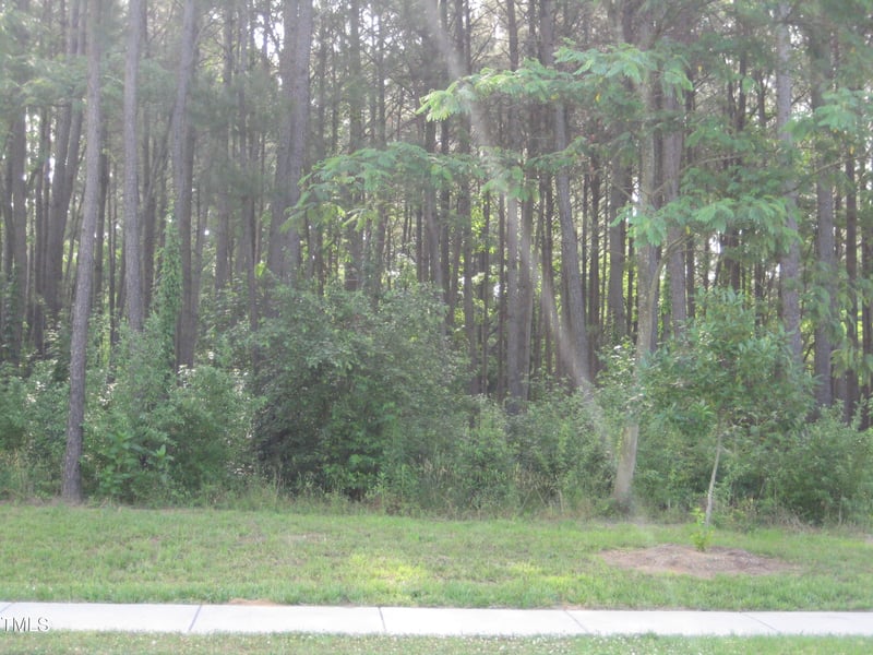 Us Hwy 1, Youngsville, NC 27596