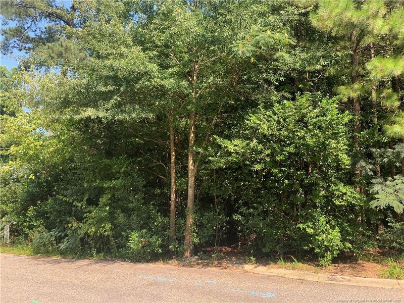 0 Walker Downs Cir, Fayetteville, NC 28305