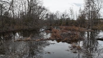 Walnut Grove Church Rd Lot 1A, Louisburg, NC 27549