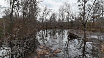 Walnut Grove Church Rd Lot 1A, Louisburg, NC 27549