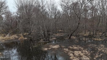 Walnut Grove Church Rd Lot 1B, Louisburg, NC 27549