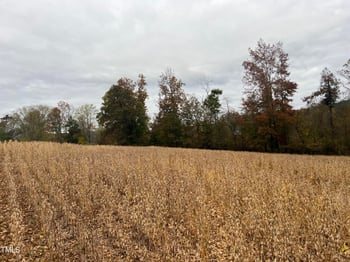 Walnut Grove Church Rd, Louisburg, NC 27549