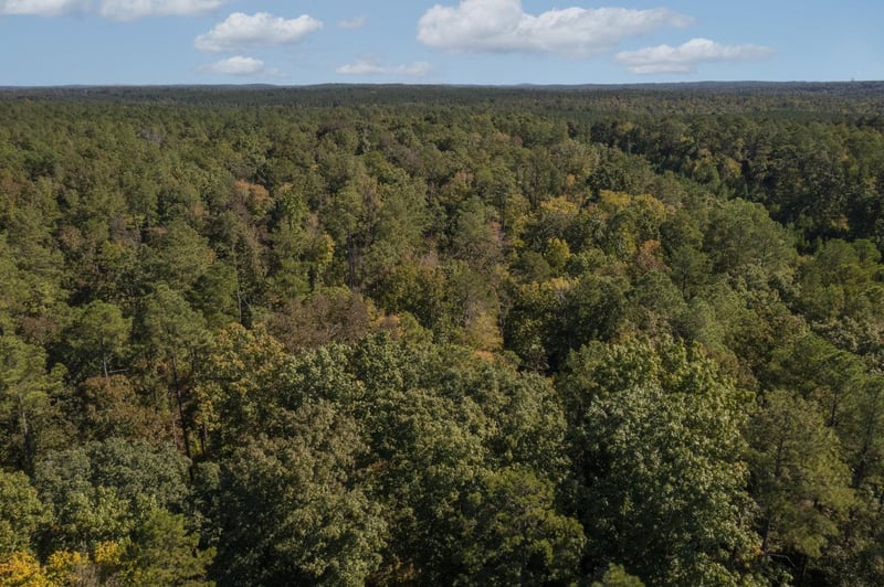 0 Walter Bright Rd, Sanford, NC 27330