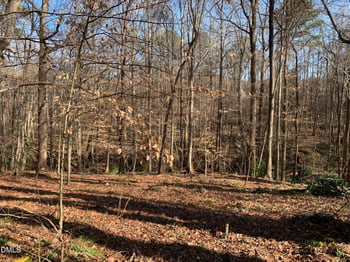 Washington And Smith St Lot 56, Clayton, NC 27520