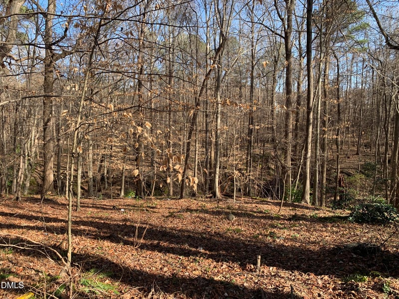 Washington And Smith St Lot 56, Clayton, NC 27520