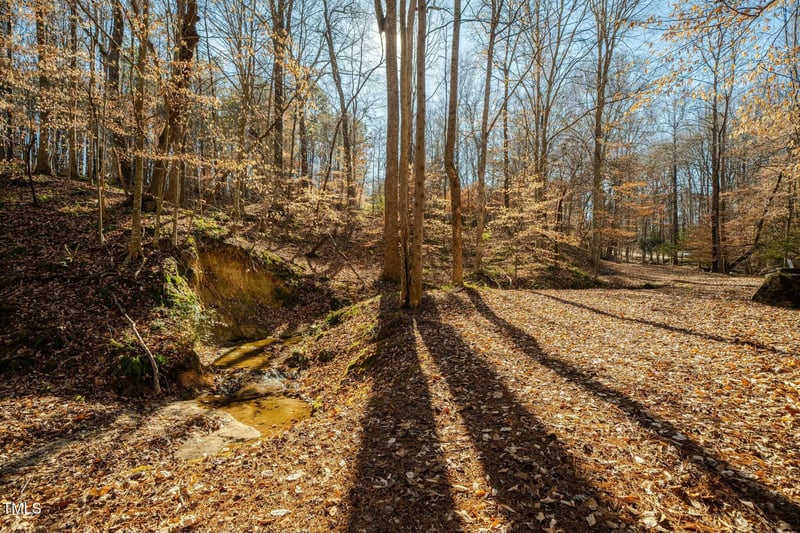 Washington St, Clayton, NC 27520