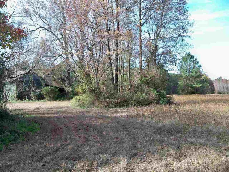 0 Watkins Rd, Wendell, NC 27591