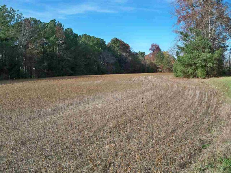 0 Watkins Rd, Wendell, NC 27591