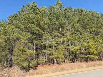 Webb North St, Selma, NC 27576