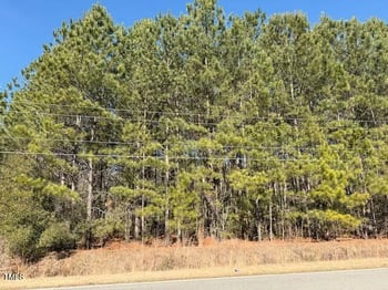 Webb North St, Selma, NC 27576