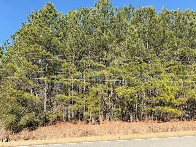 Webb North St, Selma, NC 27576