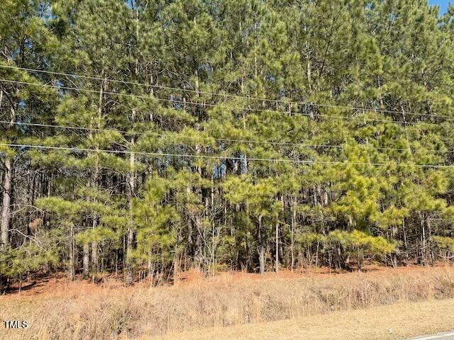 Webb North St, Selma, NC 27576