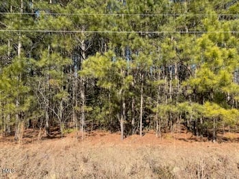 Webb North St, Selma, NC 27576