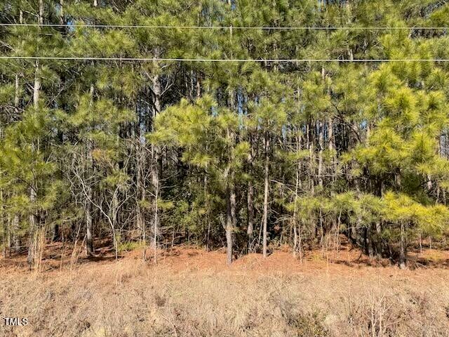 Webb North St, Selma, NC 27576