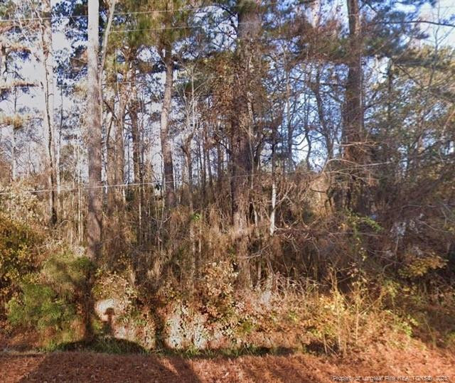 Webb St, Selma, NC 27576