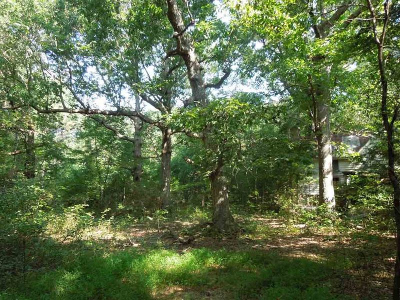0 Weldon Rd Lot none, Louisburg, NC 27549
