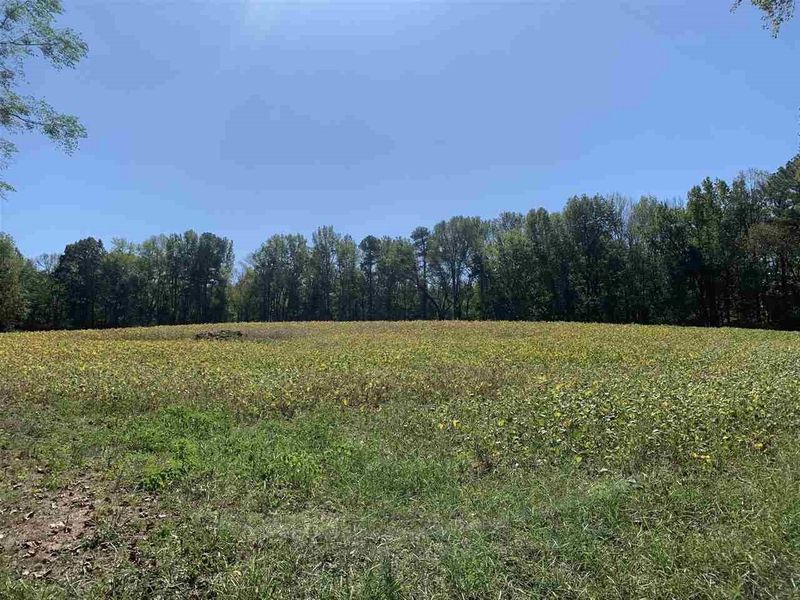 0 Weldon Rd, Louisburg, NC 27549