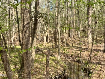 Westerman Pl Lot 63/387, Smithfield, NC 27577