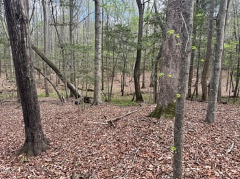Westerman Pl Lot 63/387, Smithfield, NC 27577