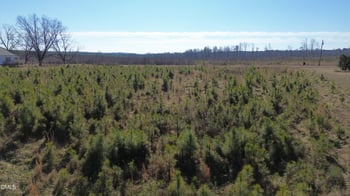 0 White Level Rd, Louisburg, NC 27549