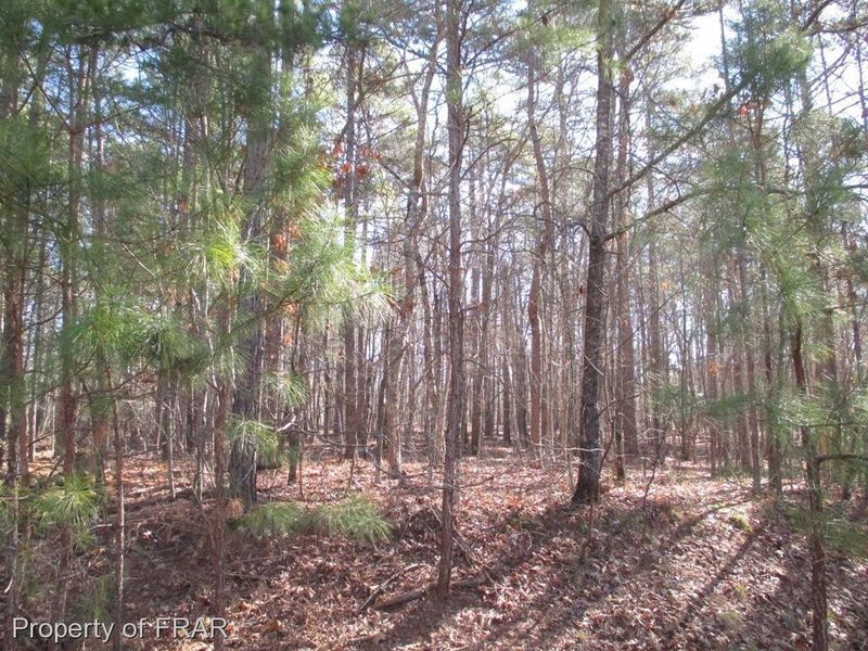 0 Wild Forest Rd, Sanford, NC 27330