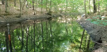 Wildrock Cir Lot 9A, Raleigh, NC 27610