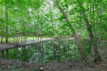 Wildrock Cir Lot 9A, Raleigh, NC 27610