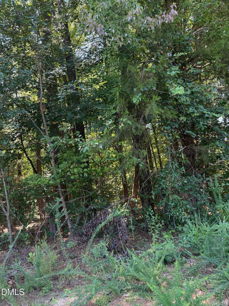 0 Williams Farm Rd Lot 6, Sanford, NC 27332