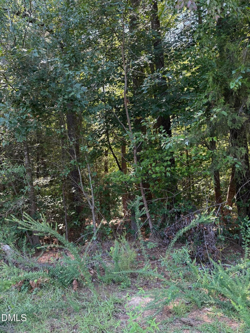 0 Williams Farm Rd Lot 6, Sanford, NC 27332