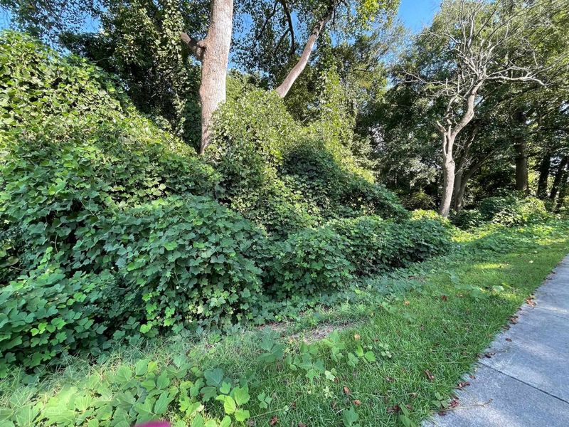 0 N Willow St Lot 1, Angier, NC 27501