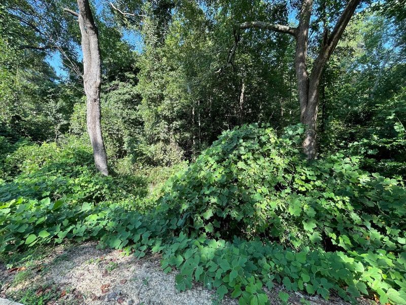 0 N Willow St Lot 1, Angier, NC 27501
