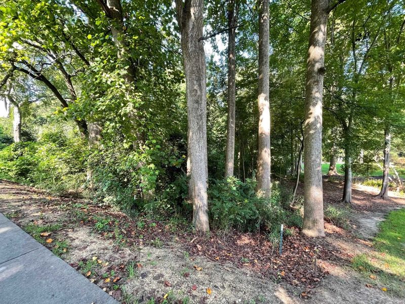 0 N Willow St Lot 1, Angier, NC 27501