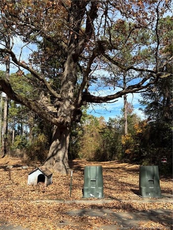 Wilma St, Fayetteville, NC 28301