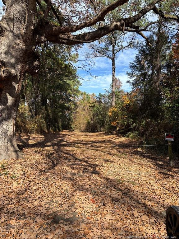 Wilma St, Fayetteville, NC 28301