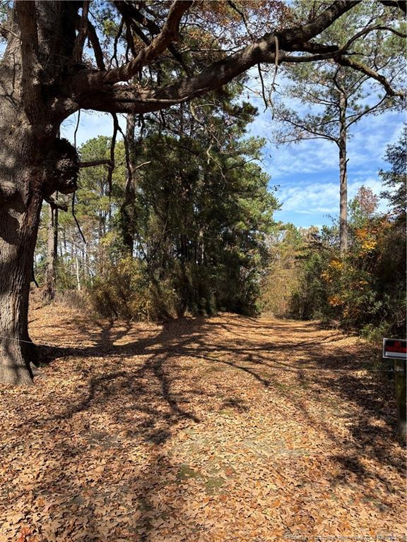 Wilma St, Fayetteville, NC 28301