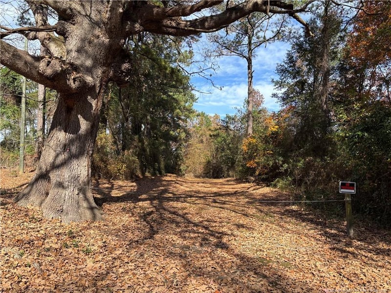 Wilma St, Fayetteville, NC 28301