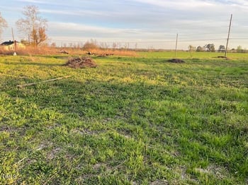 Wilson Rd, Clinton, NC 28328