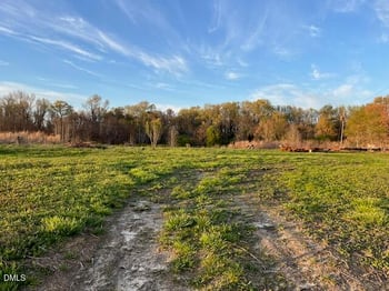 Wilson Rd, Clinton, NC 28328