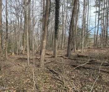 0 Wimbledon Dr Lot 25, Roxboro, NC 27573