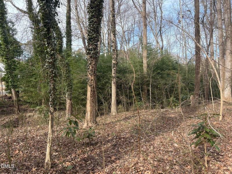 0 Wimbledon Dr Lot 25, Roxboro, NC 27573