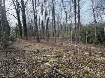 Wimbledon Dr, Roxboro, NC 27573