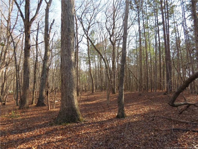 0 Windmere Dr, Sanford, NC 27330
